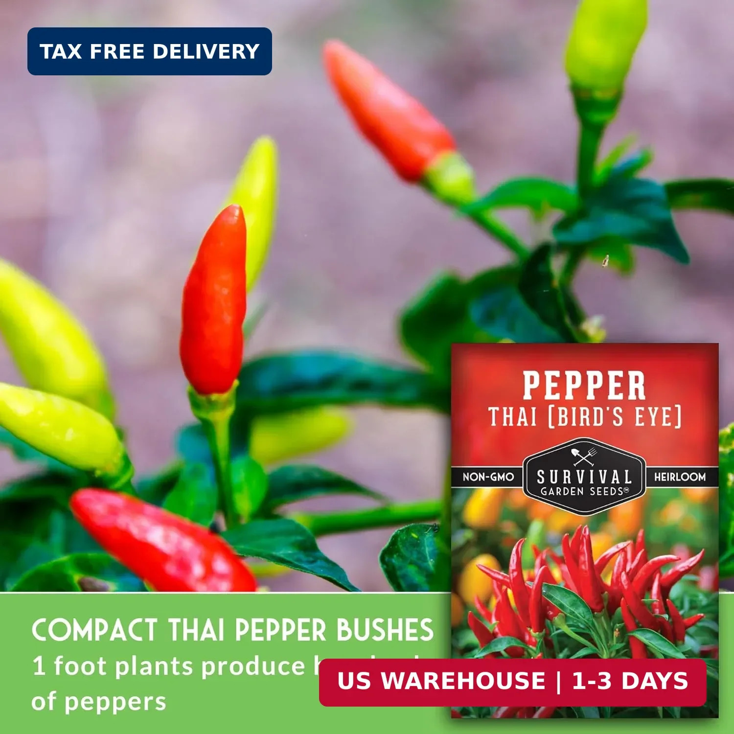 Thai Chili Pepper Seeds for Planting | Bird’s Eye Hot Peppers – Heirloom Non-GMO