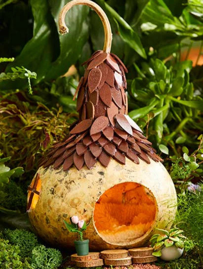 Birdhouse Gourd Seeds |USA Bird Bottle Calabash Chinese Asian Buddha Squash 2024