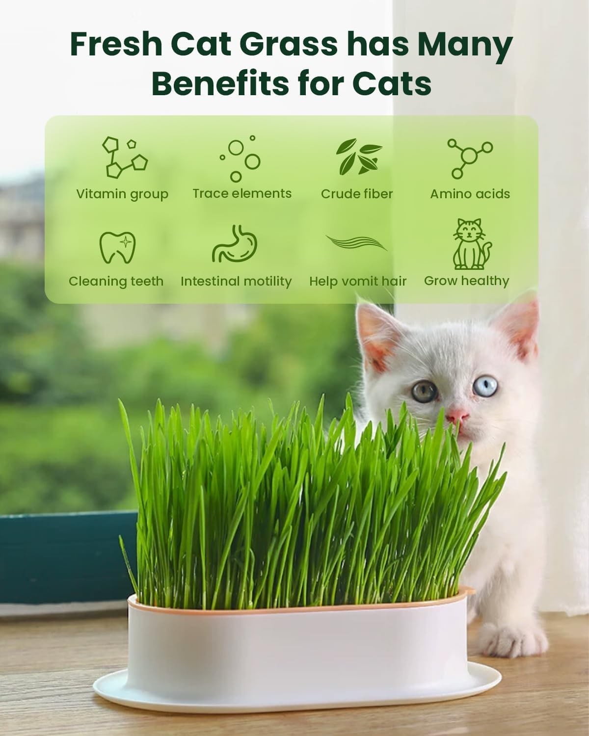 Cat Grass Kit for Indoor Cats 3 Pack, Organic Wheat Grass Seeds Grows in 7 Days