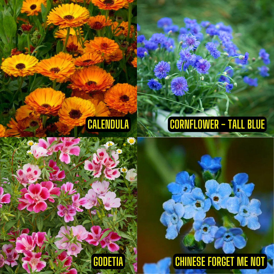 Wildflower Seed Mix