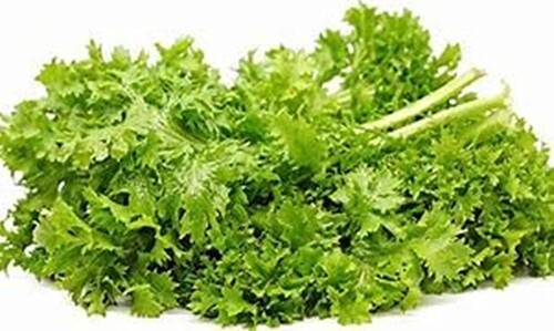 Mustard Green Seeds, Wasabi Mustard Green Seeds “COOL BEANS N SPROUTS” Brand.