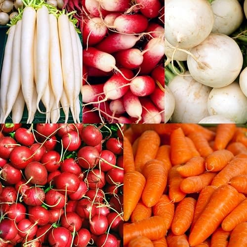 CarpetC 840pcs Mixed Radish Seeds for Planting, Raphanus sativus Variety Pack,