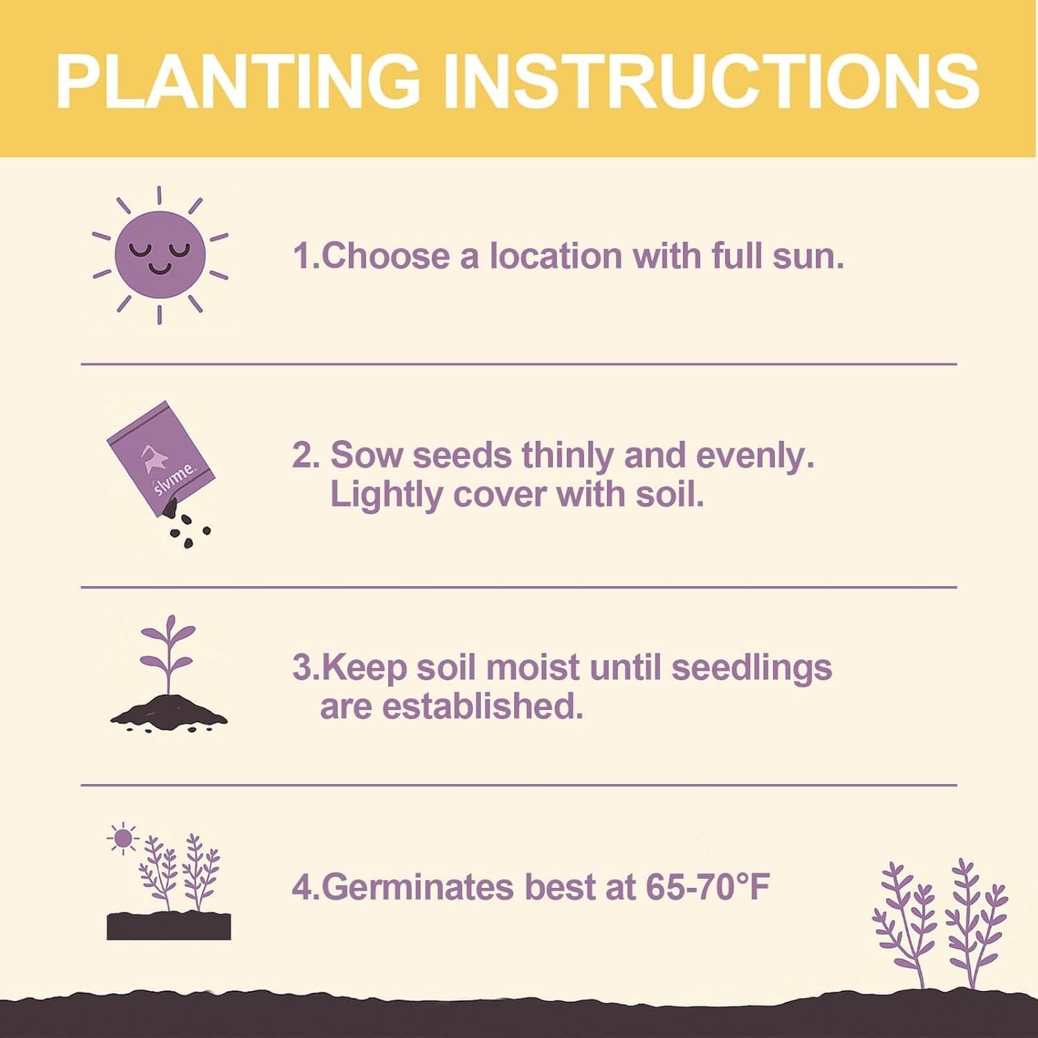 Aromatic Purple Creeping Thyme Seeds – 30,000 Count for Low-Maintenance Gardens