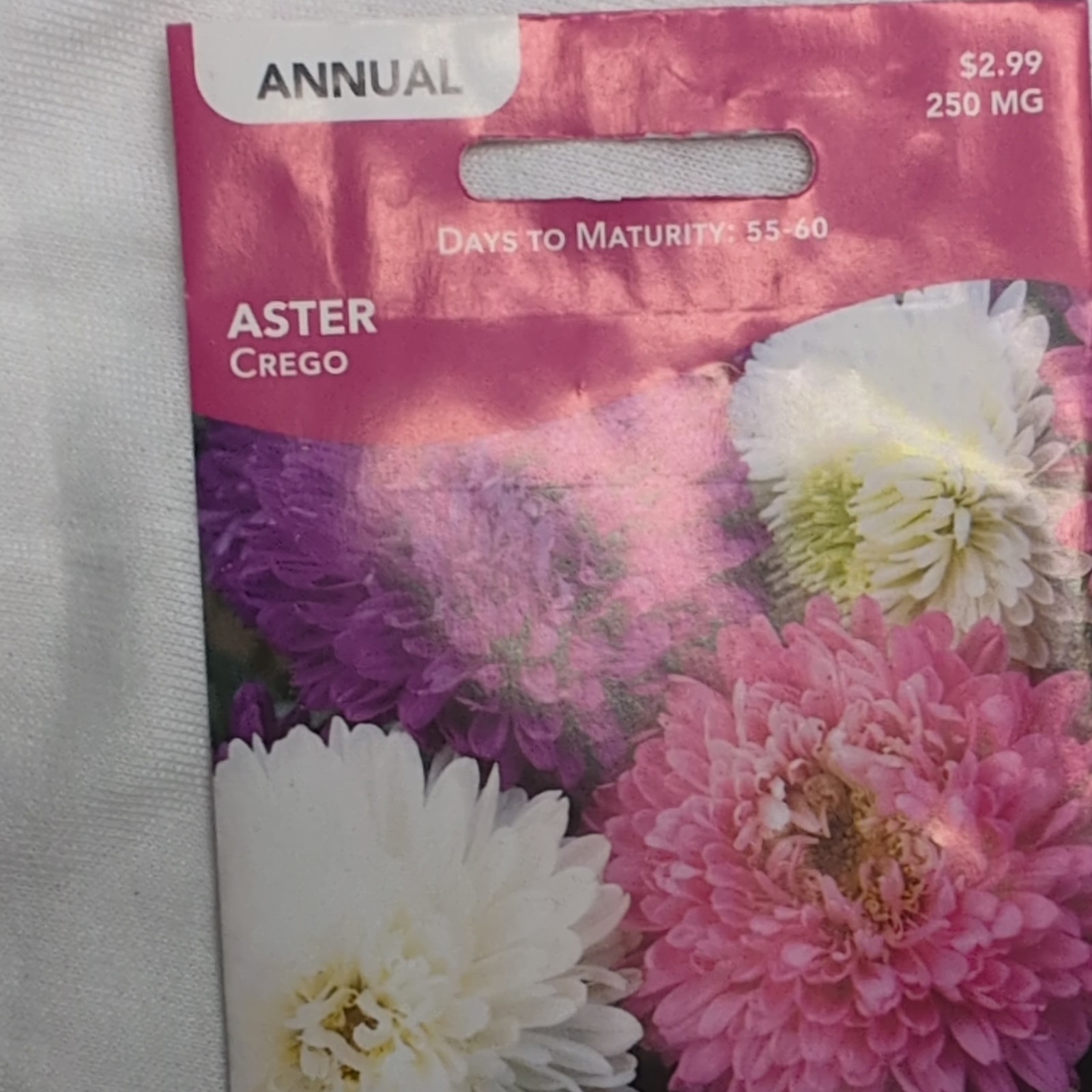 Livingston Aster Crego Annual White Pink Purple Full Sun Bee Friendly Y1028