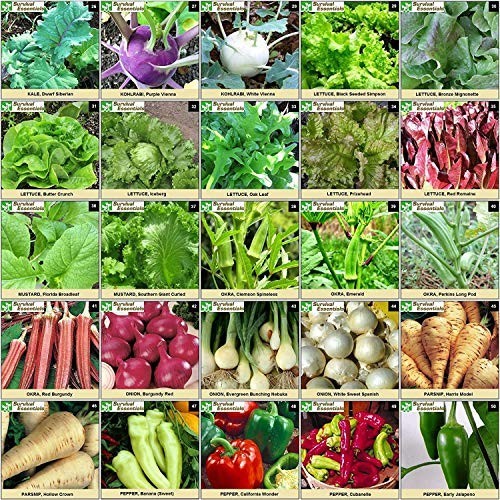 Heirloom Seed Vault – 100 Varieties, 17,500+ Non-GMO Vegetable, Fruit & Herb See