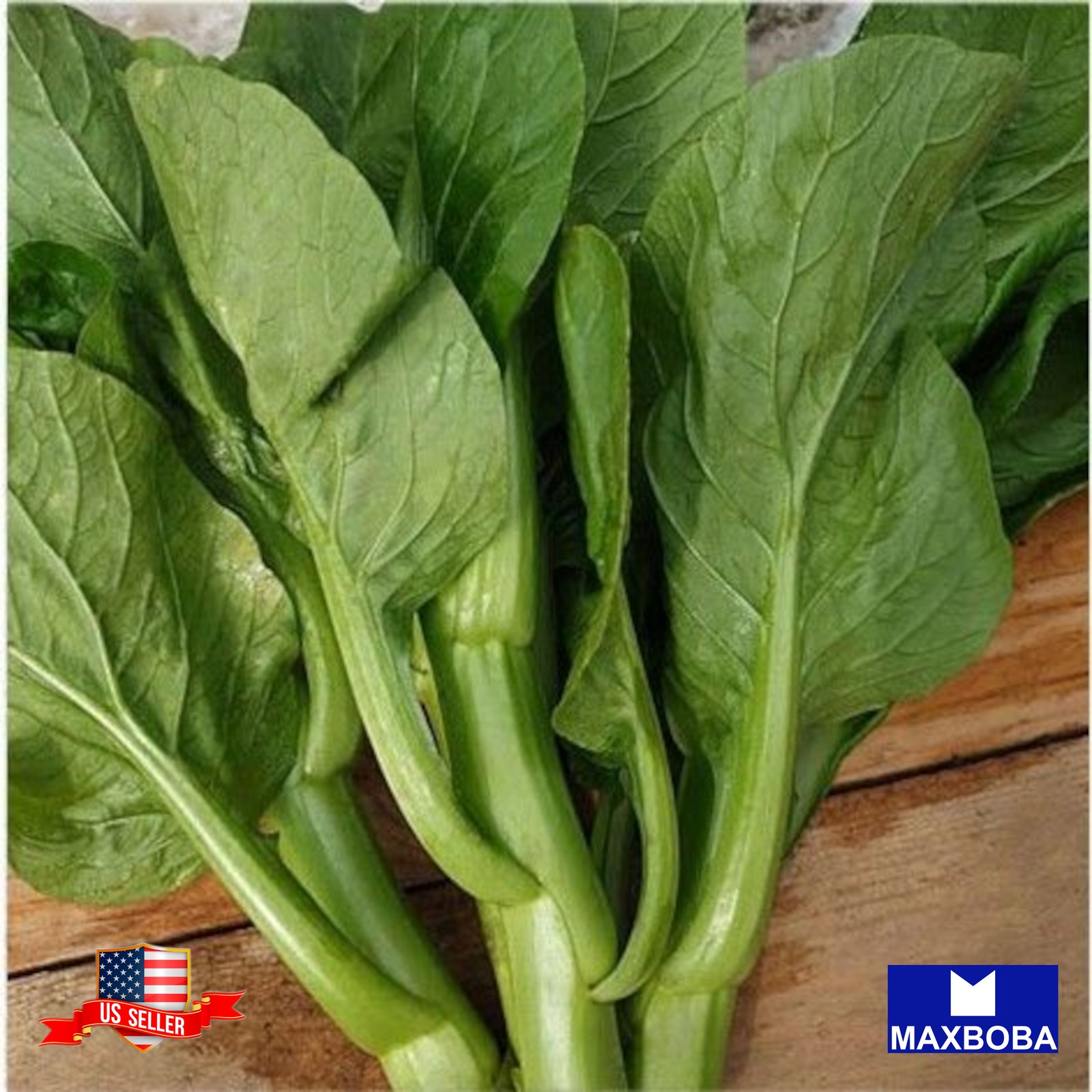 1000 Jung Green Yu Choy Sum Seeds Non-GMO Heirloom BTGO 75% OFF