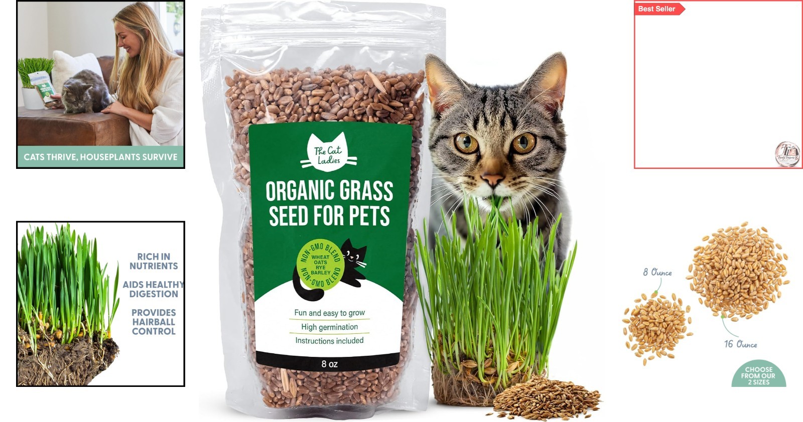 Organic Cat Grass Seed – Non-GMO, Pet-Friendly, Fast-Growing 8oz