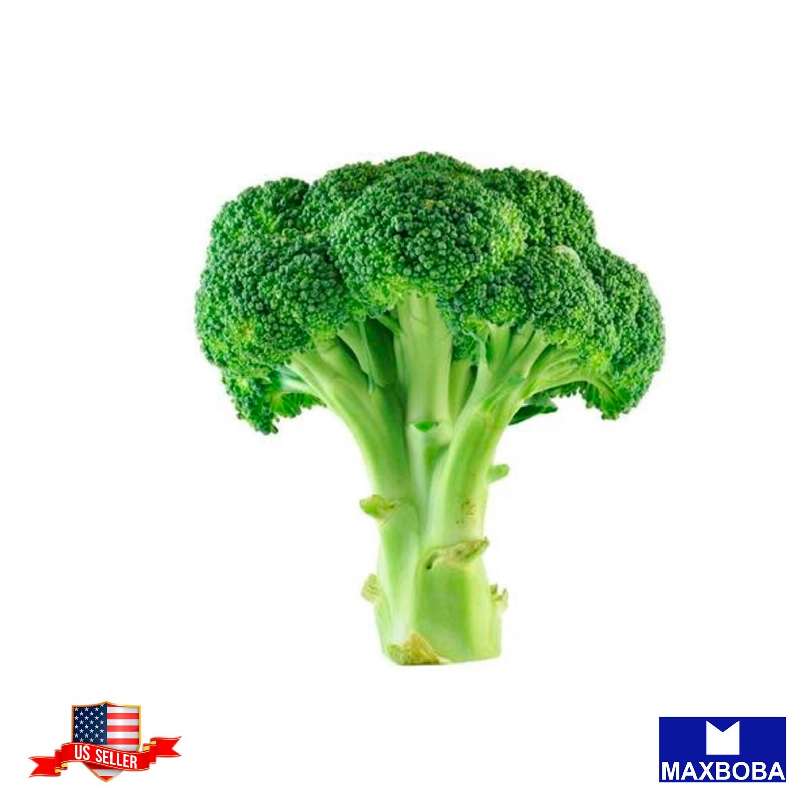 Broccoli Fresh Seeds – Waltham 29 – Heirloom Vegetable Garden