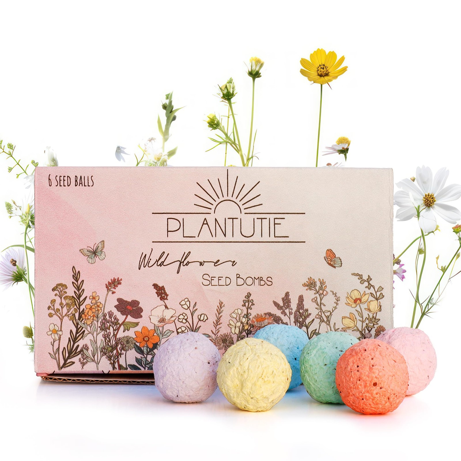 Wildflower Seed Bomb Gift Box – 6 Colorful Hand Rolled Seed Balls for Easy Ga…