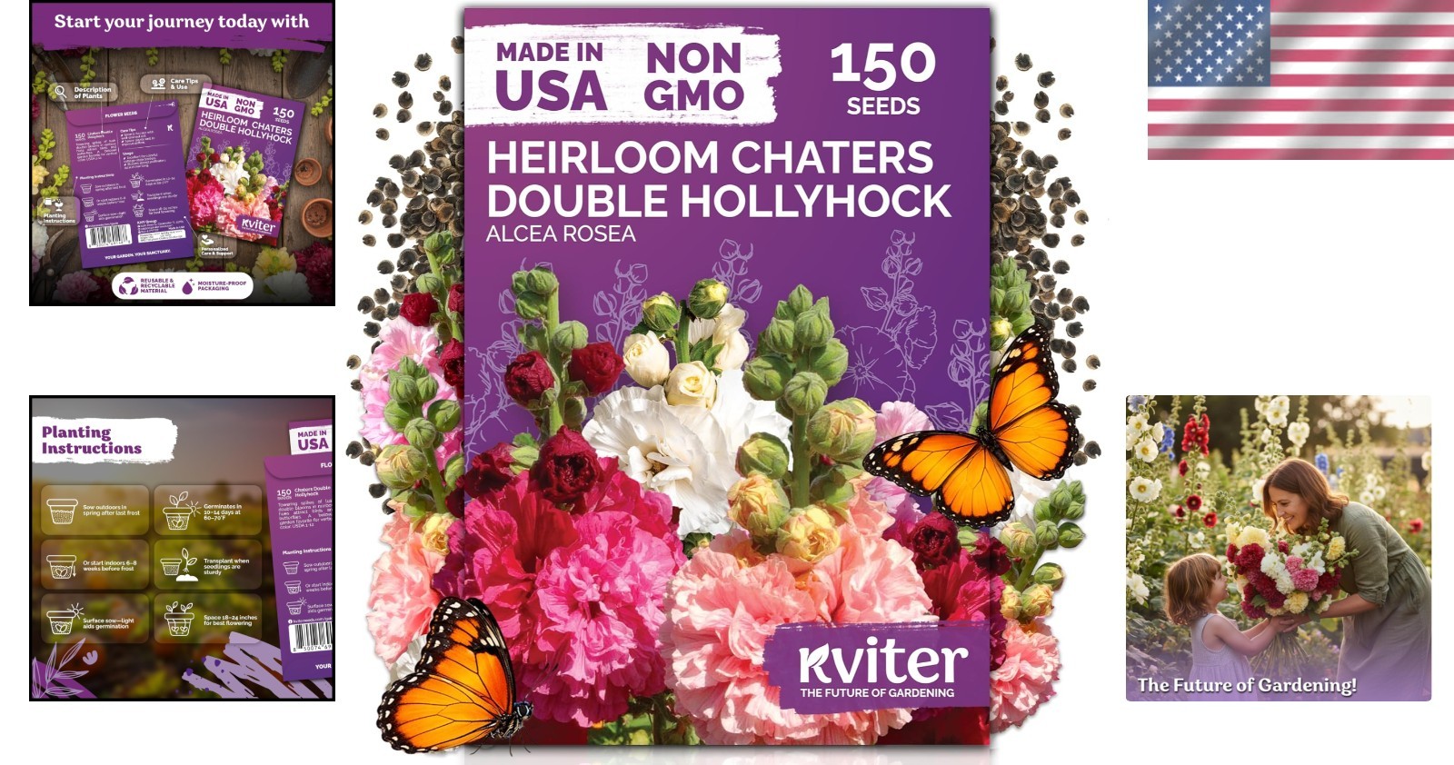 Pollinator Magnet – 150 Chaters Hollyhock Seeds, Vibrant Multi-Color Blooms