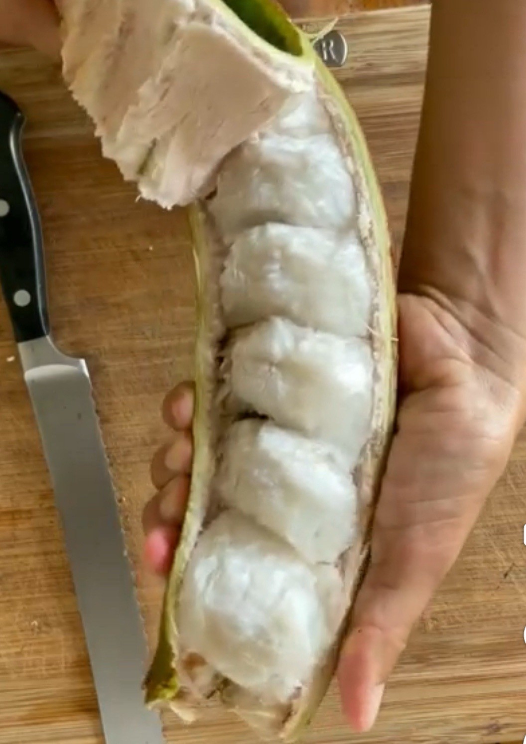 Guama 15 Seeds (Ice-Cream Bean) Guaba Fruit pepeto Inga Spectabilis