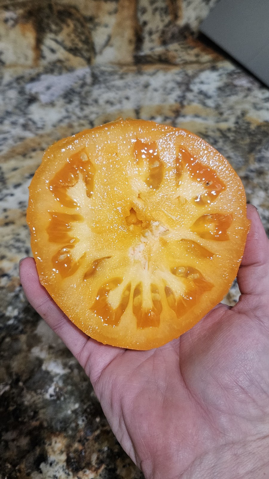 Orange Queen Tomato Seeds (30) / Organic / Florida Grown / Super Rare