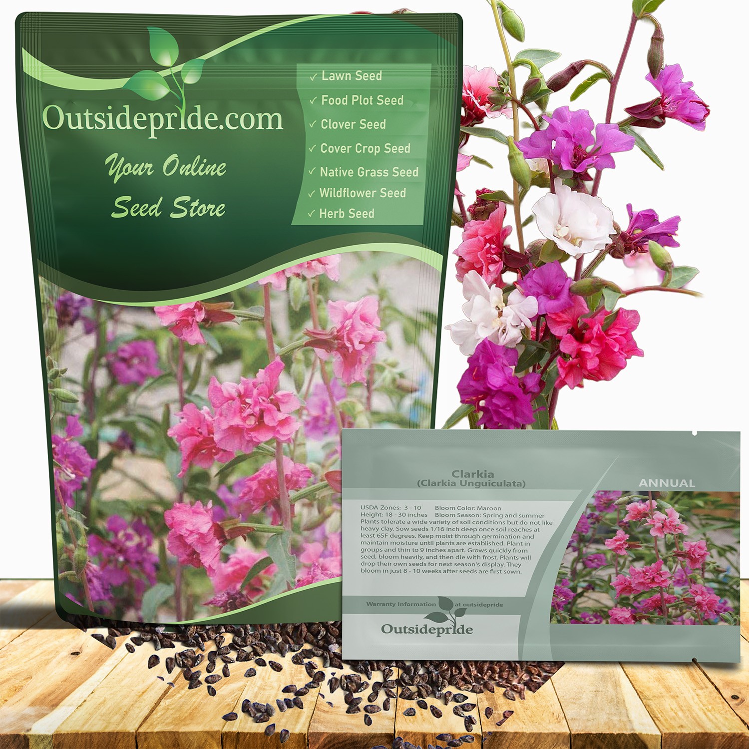 1 LB Mountain Garland Seeds – Clarkia Unguiculata Wild Flower Seed