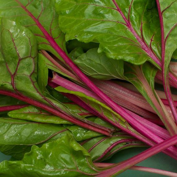 Flamingo Swiss Chard Seeds, NON-GMO, Colorful Salad, FREE SHIPPING