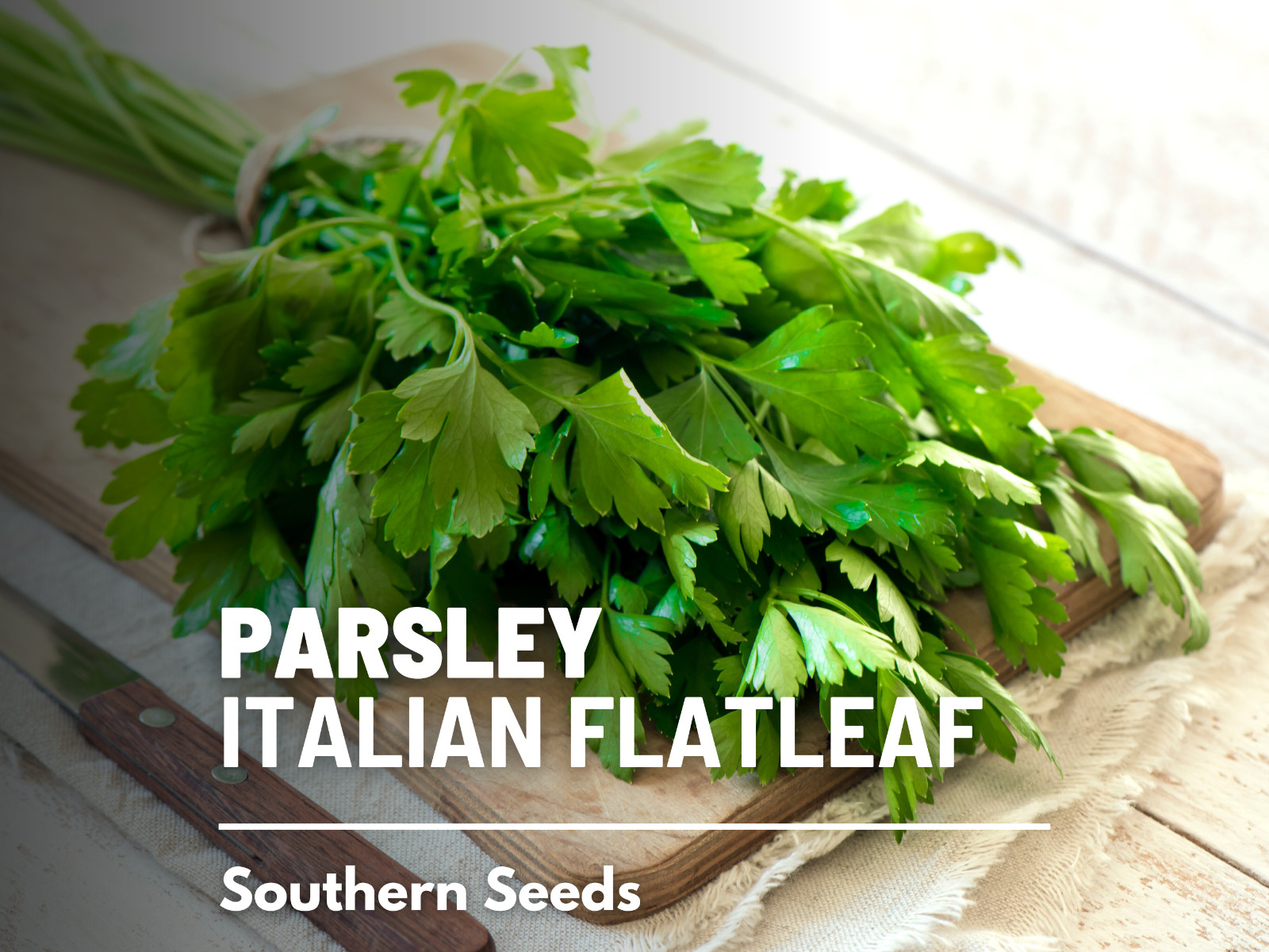 Parsley, Italian Flat Leaf – 200 Seeds – Non GMO