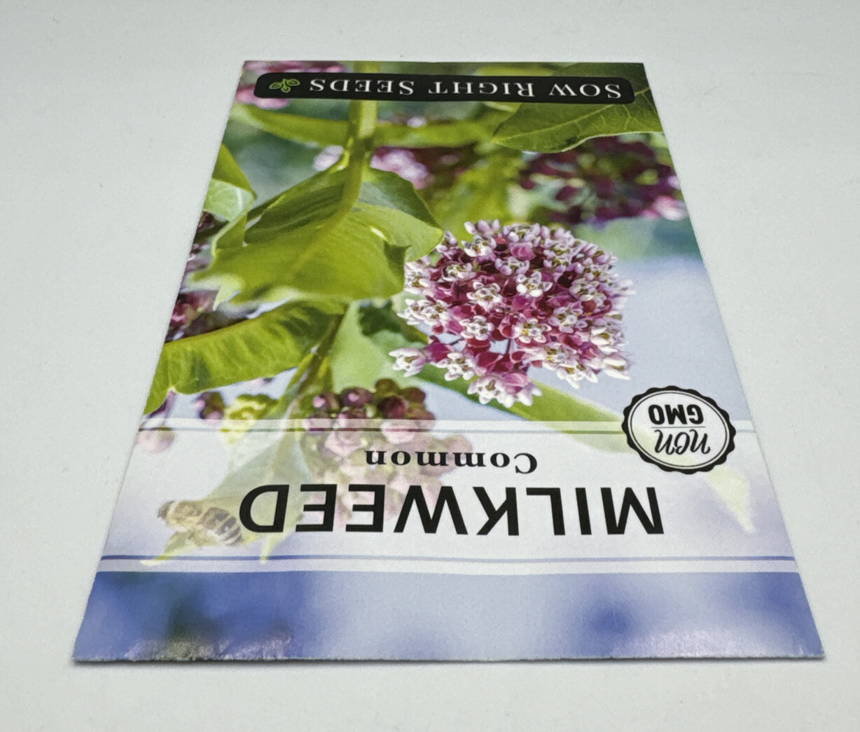 Common Milkweed Flower Seeds Packet 1/2 Gram by Sow Right Seeds. New