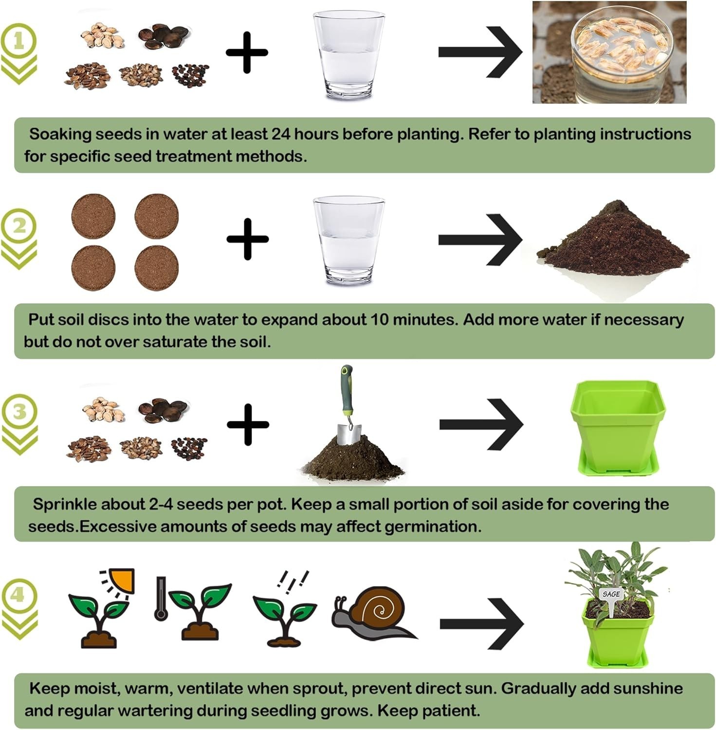 10 Herb Seeds Garden Starter Grow Kit with Green Pots, Markers, Nutritional S…