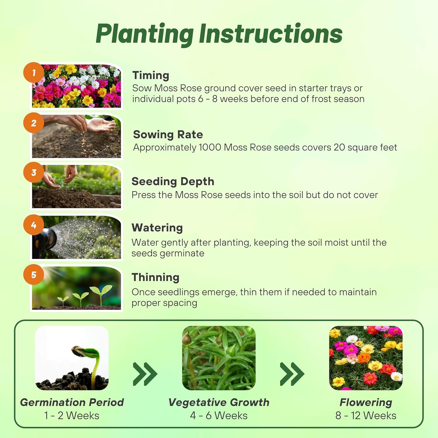 10000 Seeds Moss Rose Portulaca Seed Mix For Planting – Ground Cover Plant