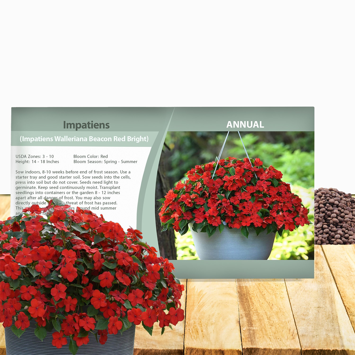 150 Seeds Bright Red Impatiens Container Plant Flower Seeds