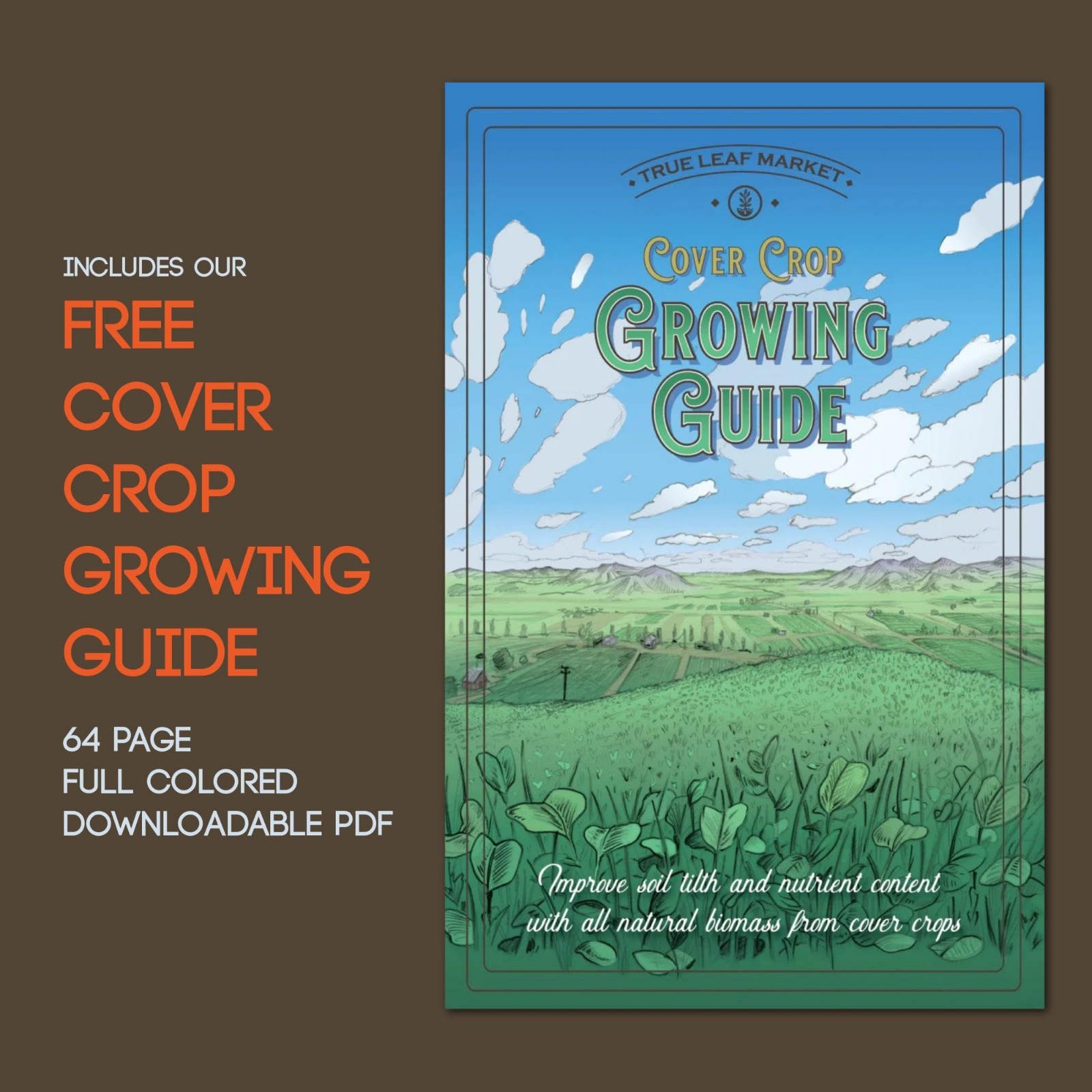 No-Till Cover Crop Seed Mix – 5 lb, 1,000 Sq. Ft. – 9 Winter-Kill Varieties, Non