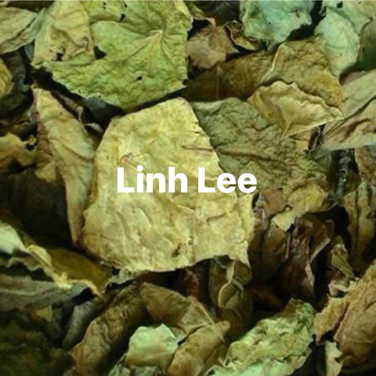 Green Glass Jelly Leaf Dry (Tiliacora Triandra) – Lá Sương Sâm Lông Sấy Lạnh