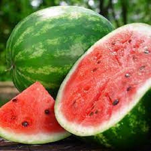 Premium Crimson Sweet Watermelon – Most Popular Variety in the World! Fresh Seed