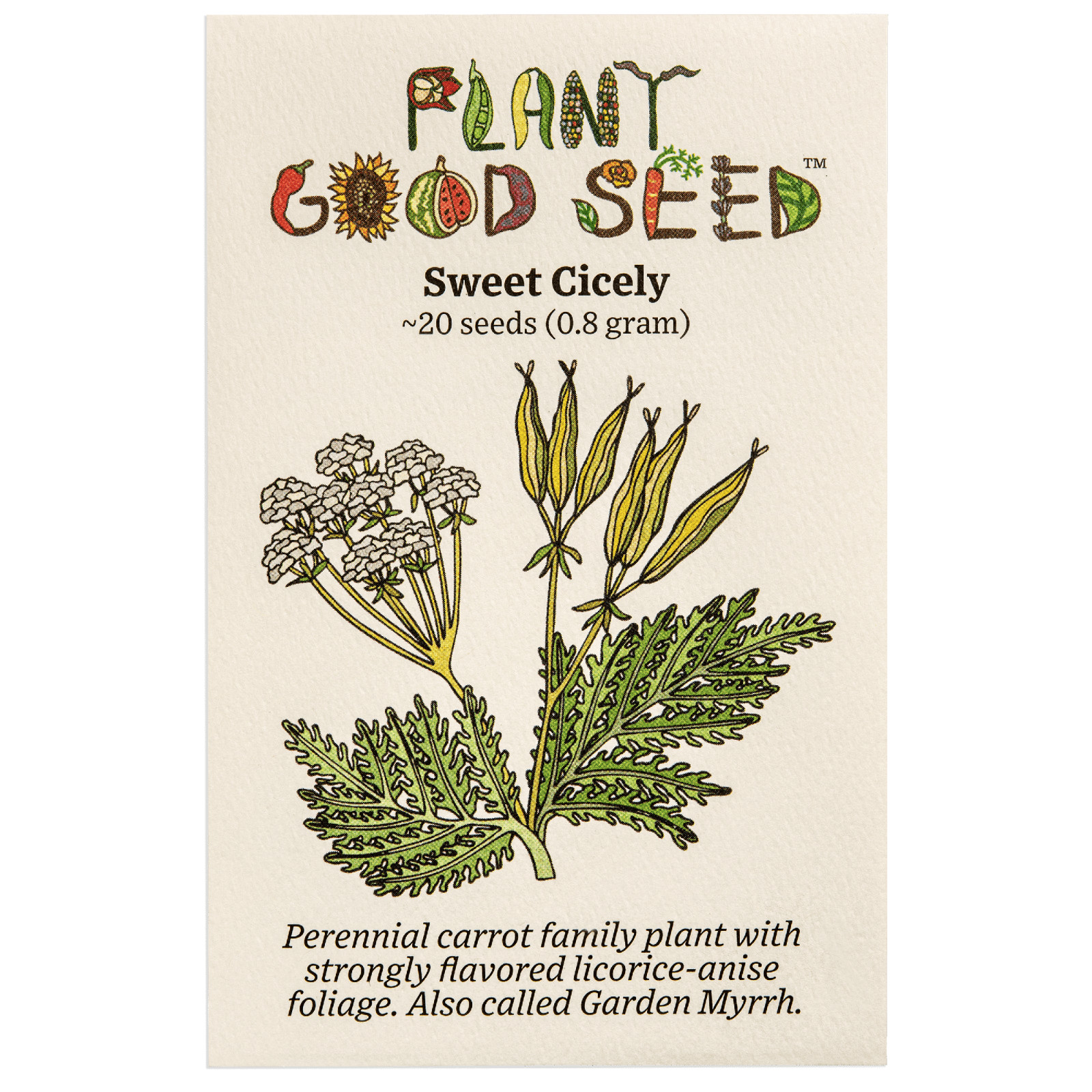 Sweet Cicely Garden Myrrh Chervil Seeds: Bulk or Packet Size, Non-GMO, Perennial