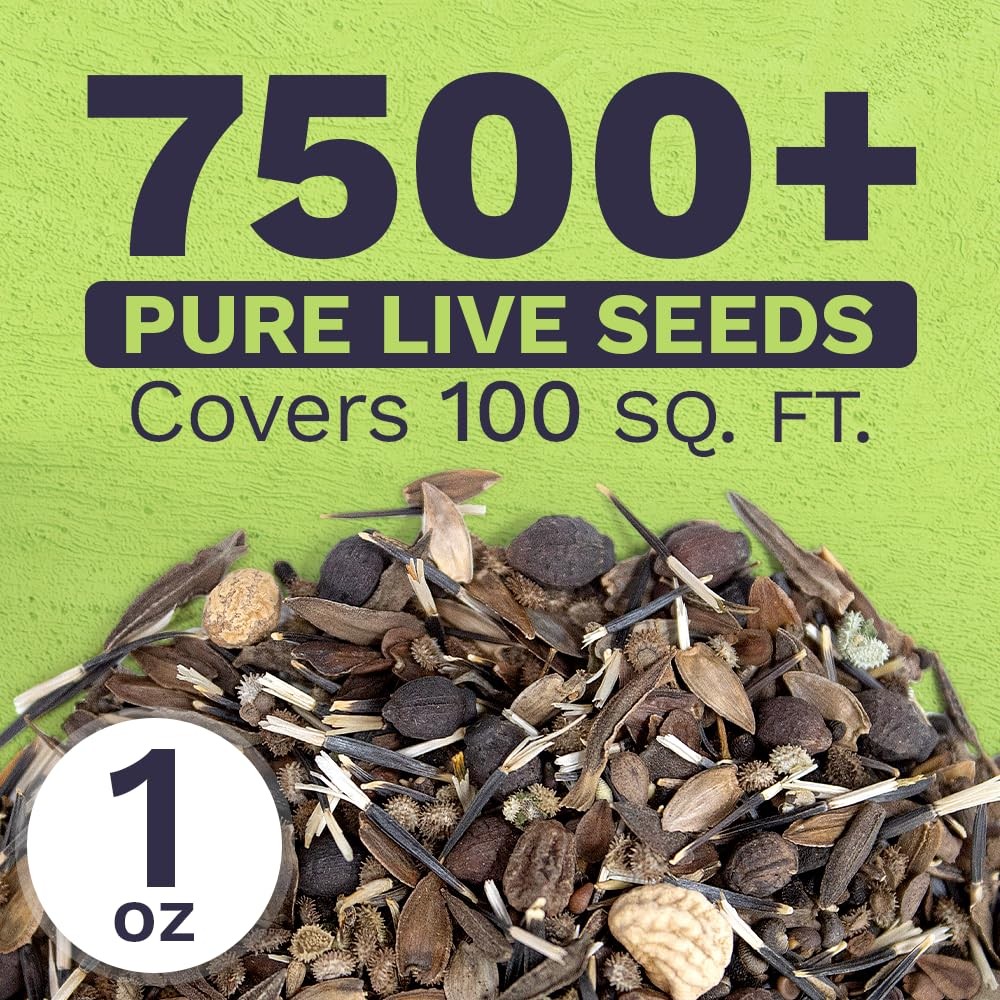 Wildflower Seeds Butterfly Hummingbird Mix 1 Ounce 7500+ Annual Perennial