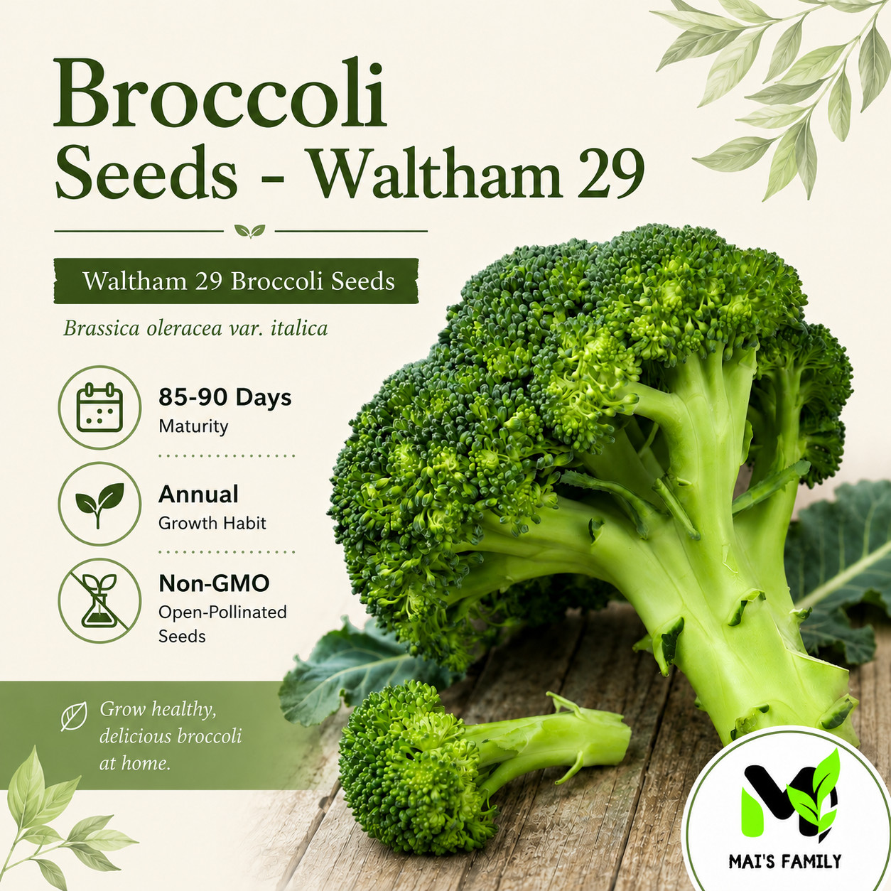 Waltham 29 Broccoli Seeds, 85-90 Days, Heirloom Non-GMO Brassica Vegetable Seeds