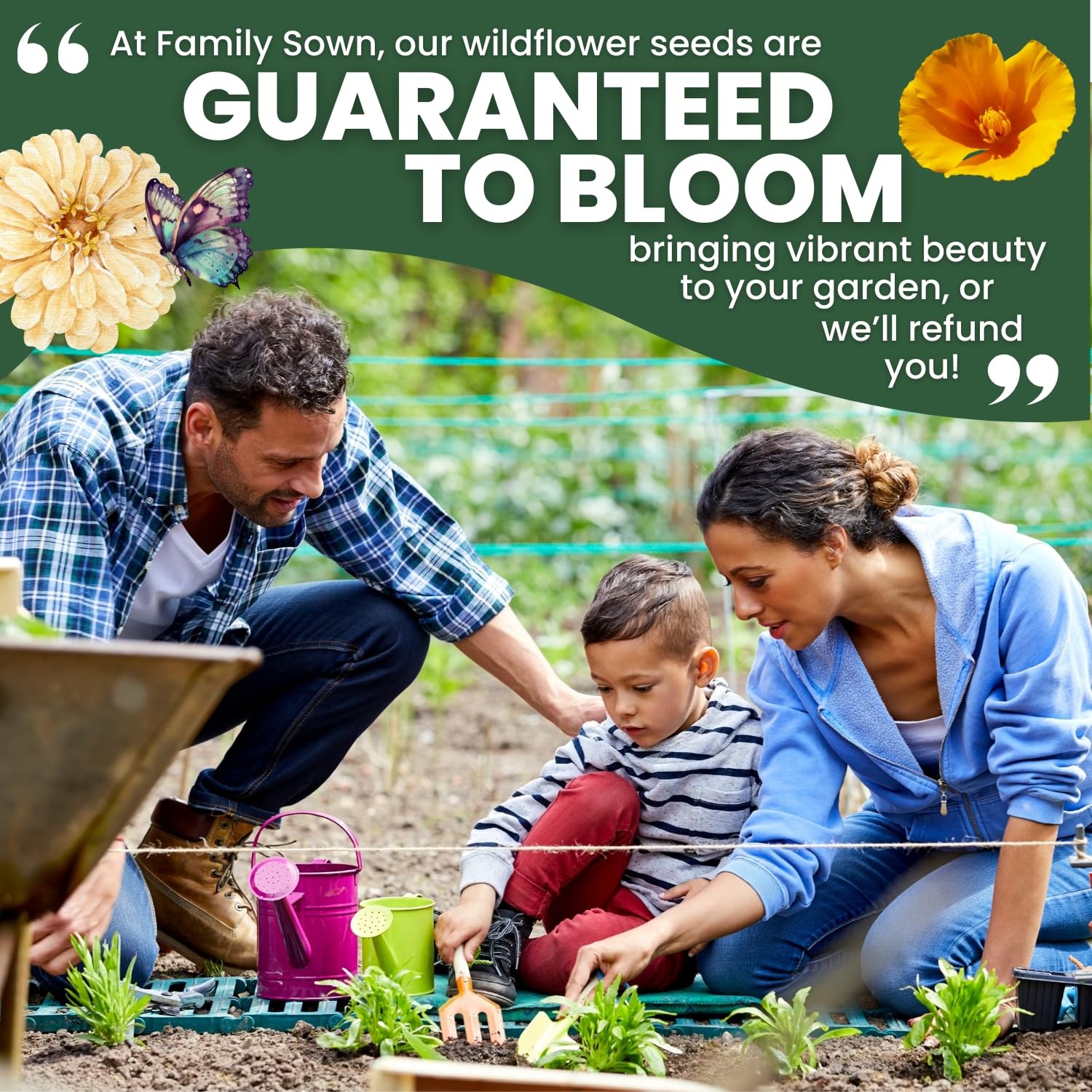 California Regional Seed Mix – 19,000 Seeds for Planting – 1 Ounce Pouch
