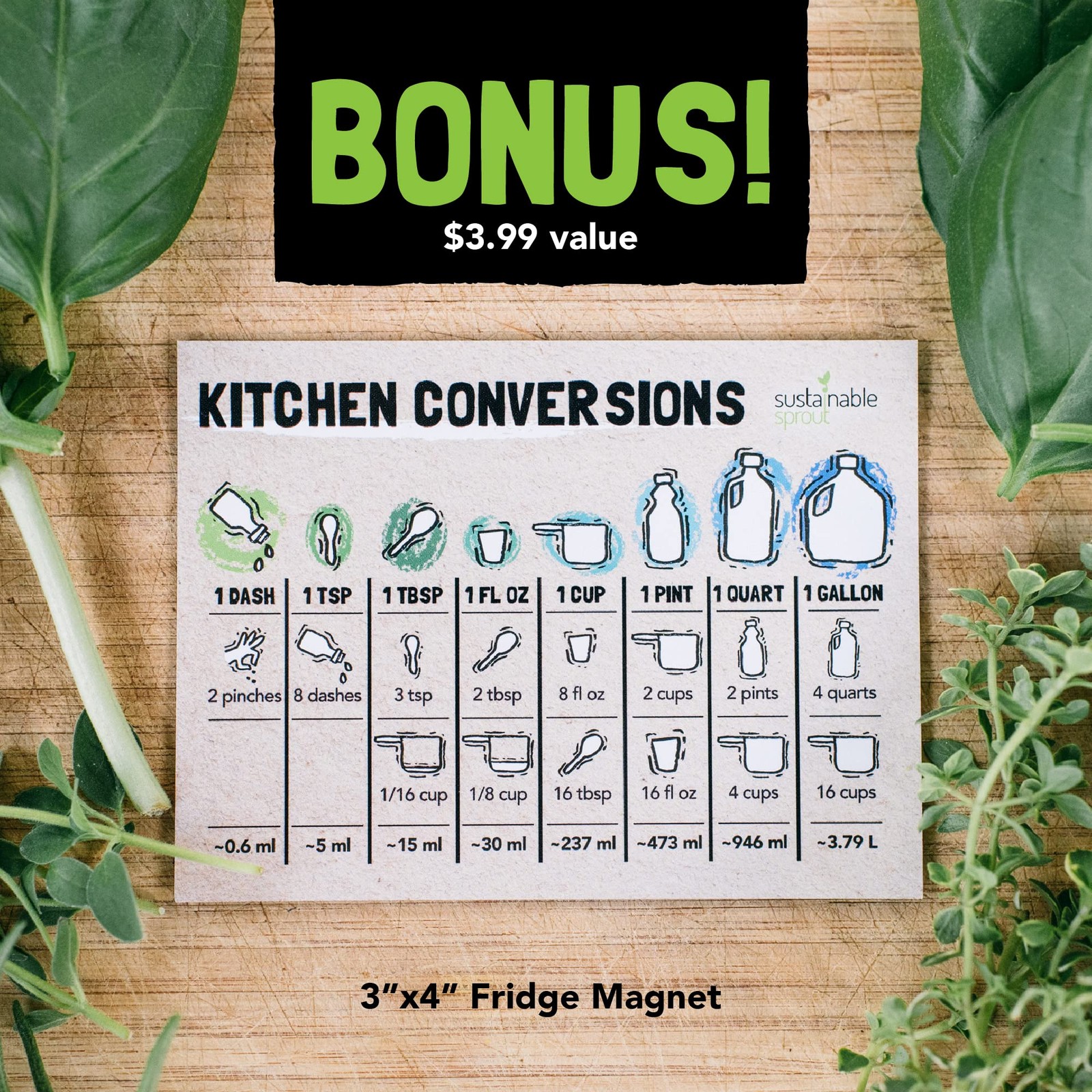 Culinary Herb Seeds Variety Pack: 10 Spice Herbs, Hydroponic Garden Indoors, …