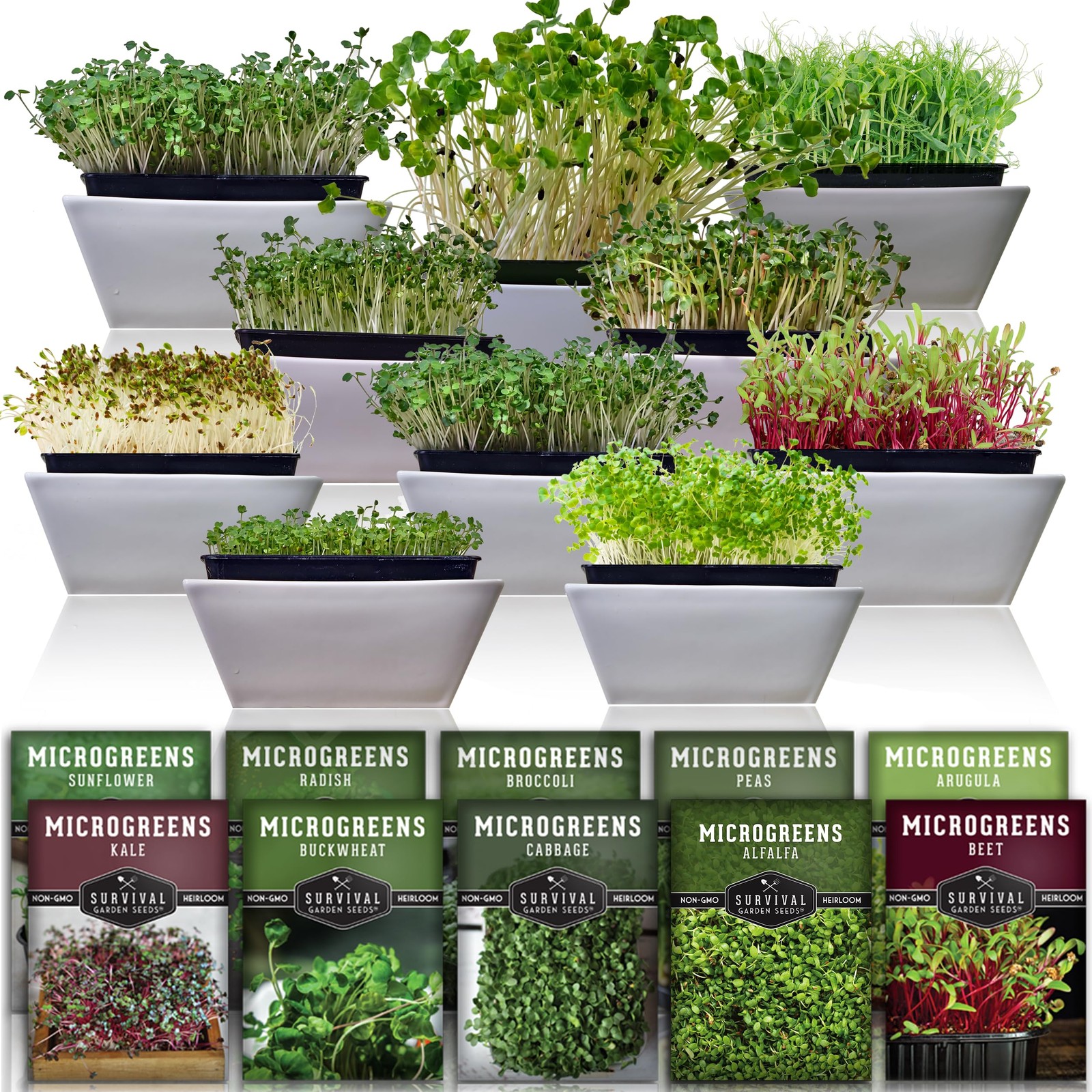 Microgreen Seeds Variety Pack – 10 Heirloom Types for Indoor Sprouting – Broc…