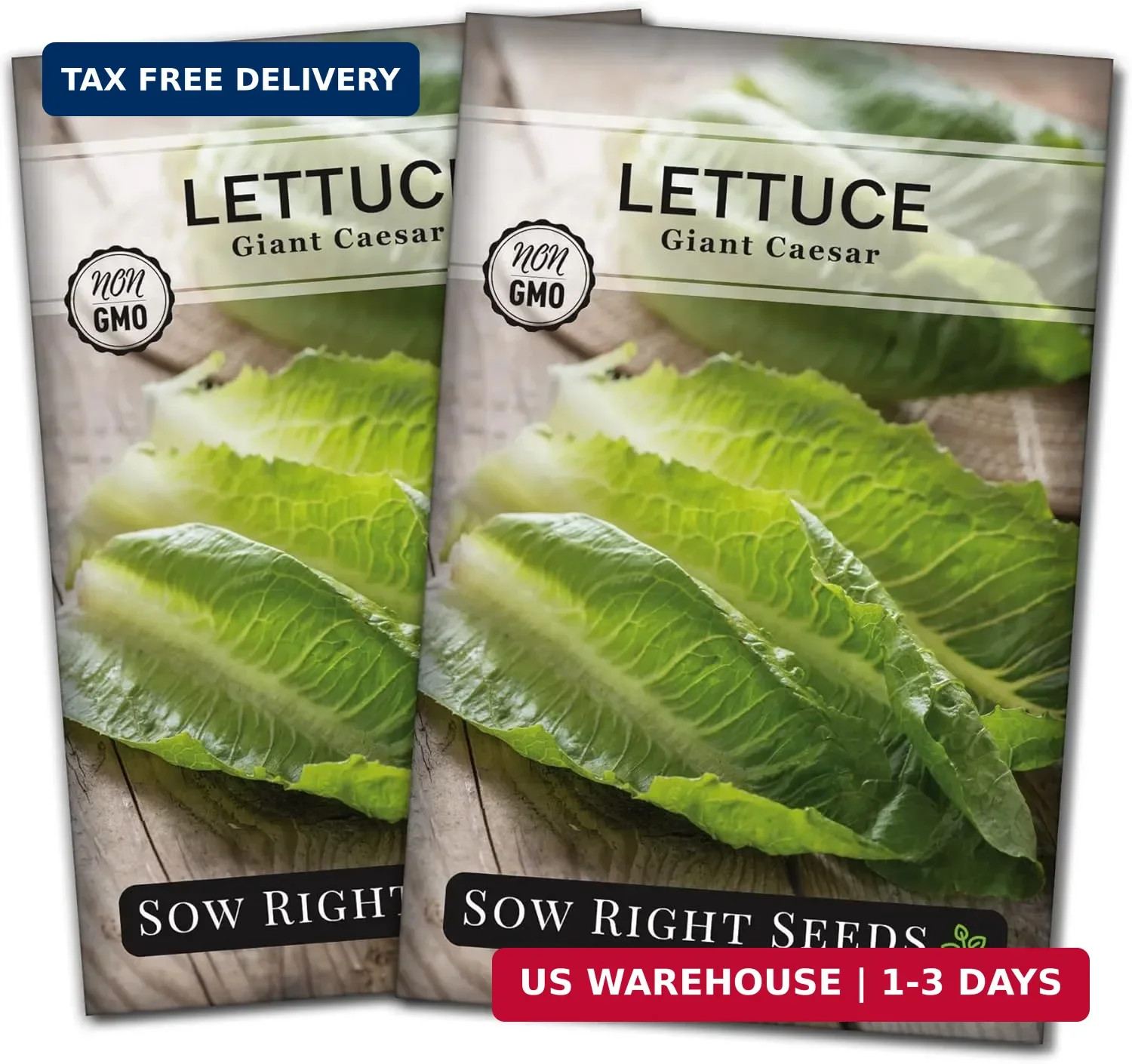 Sow Right Seeds – Giant Caesar Lettuce Seeds for Planting – Non-GMO Open Pollina