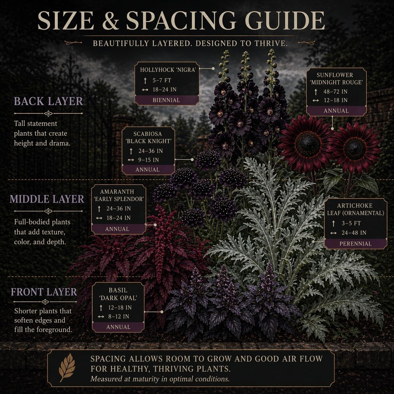 Gothic Garden Seed Collection, 6 Open-Pollinated Flower & Foliage Varieties