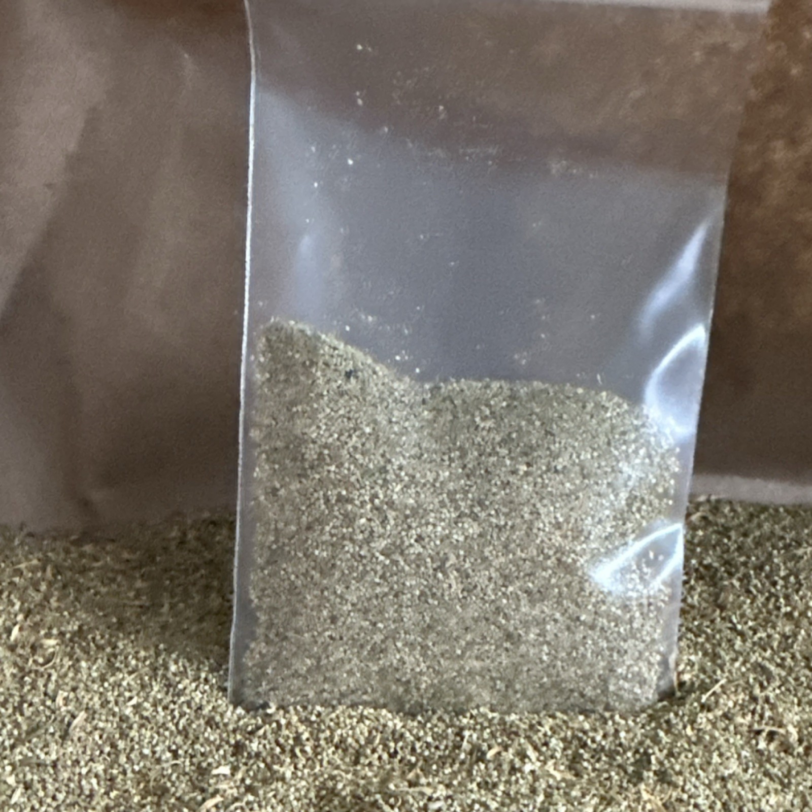 Epazote Seeds Chenopodium Ambrosoides – Dysphania ambrosioides SEMILLA EPAZOTE