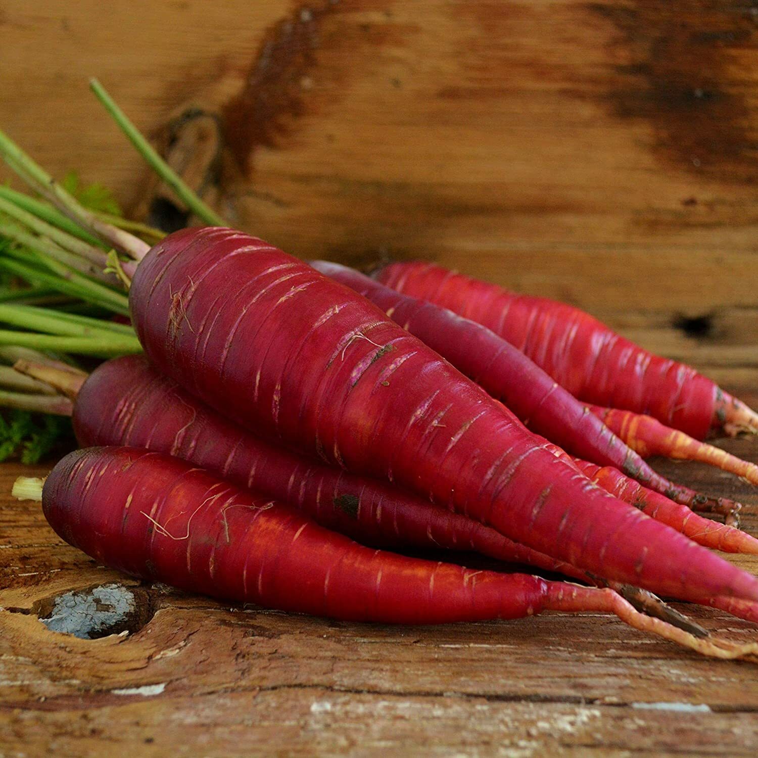 Red dragon carrot seeds 200+ seeds + Free Shipping