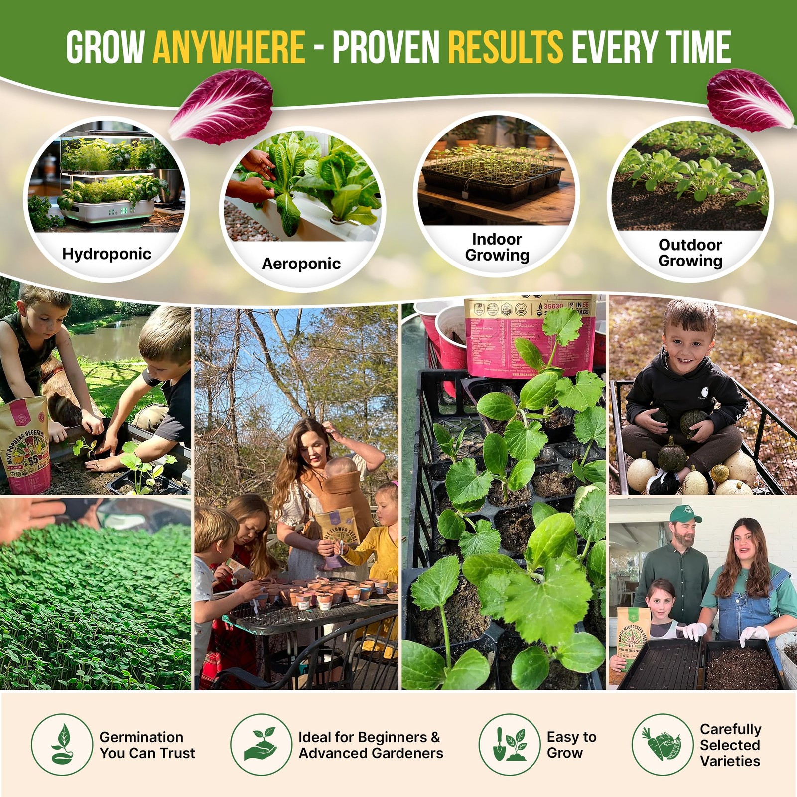 Organo Republic 10 Lettuce & Salad Greens Seeds Variety Pack 13000+ NonGMO He…