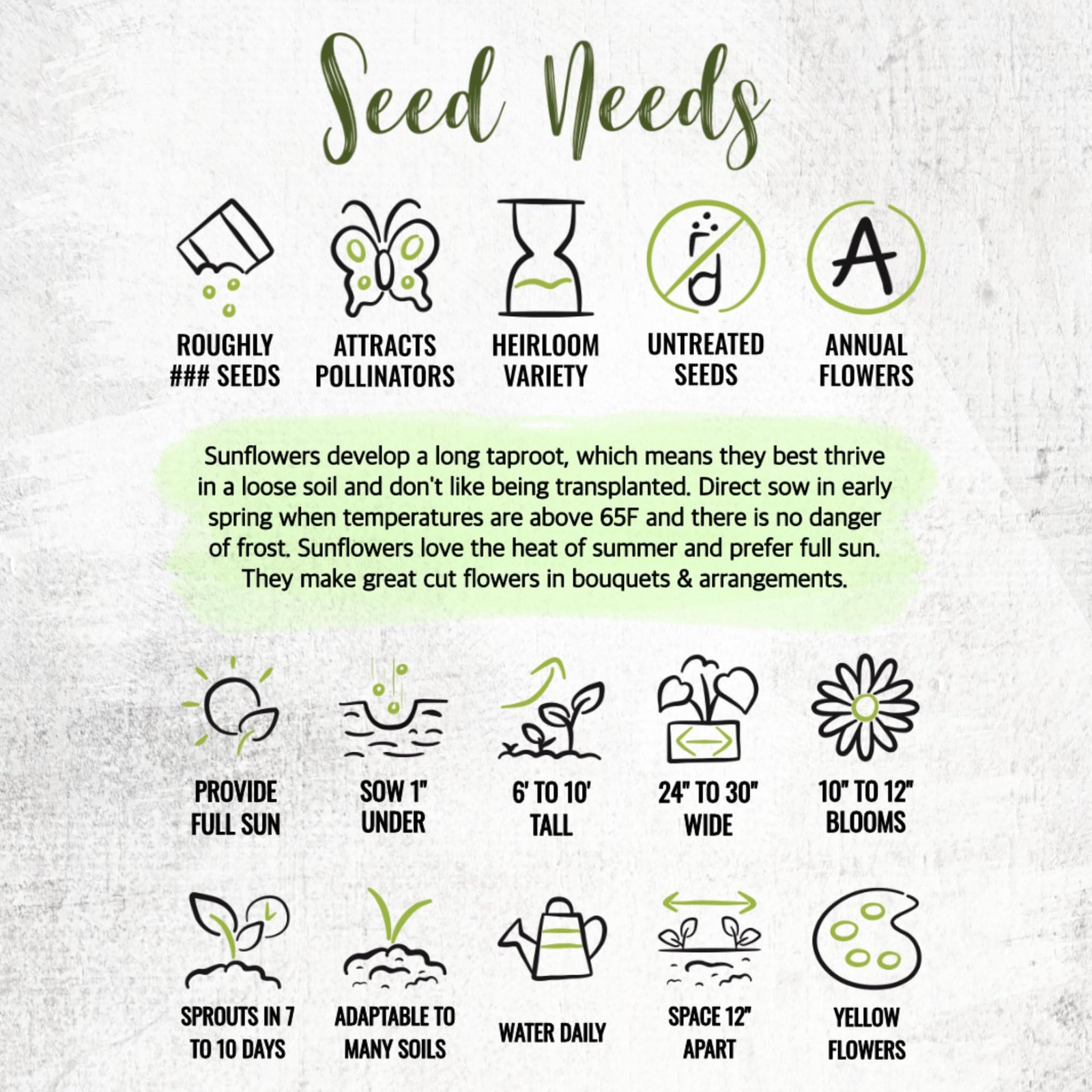 Needs Sunflower Seeds to Plant 600+ Mammoth Grey Stripe Seeds | Heirloom Heli…