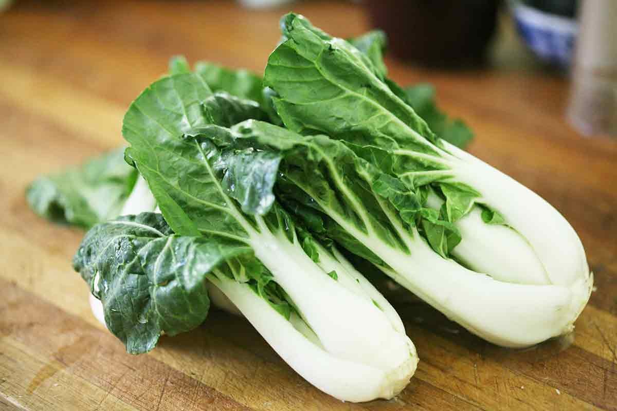 Large White Stem Bok Choy Seeds | USA Asian Chinese Pak Choi Cabbage Seed 2024