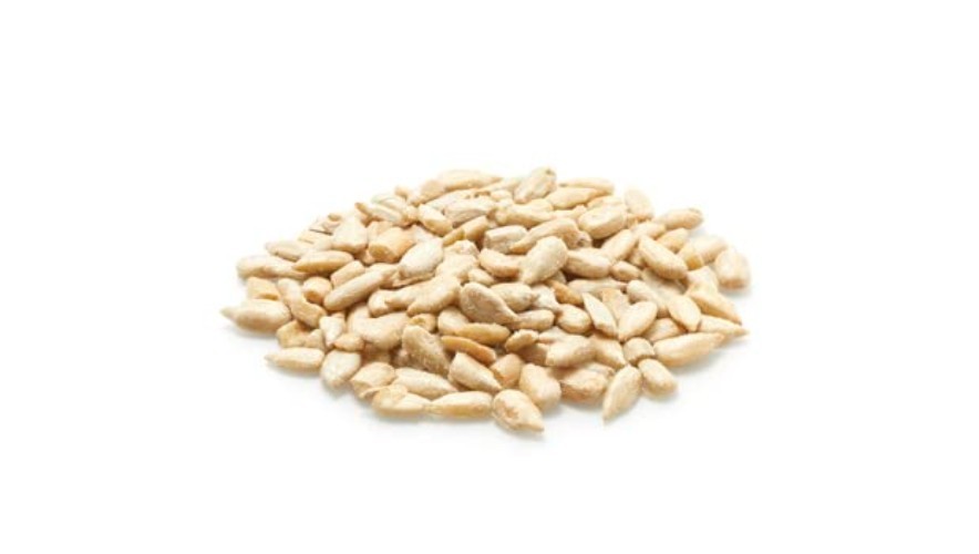 Nutritious 35.2 oz Shelled Sunflower Seeds – Plant-Based Protein Snack