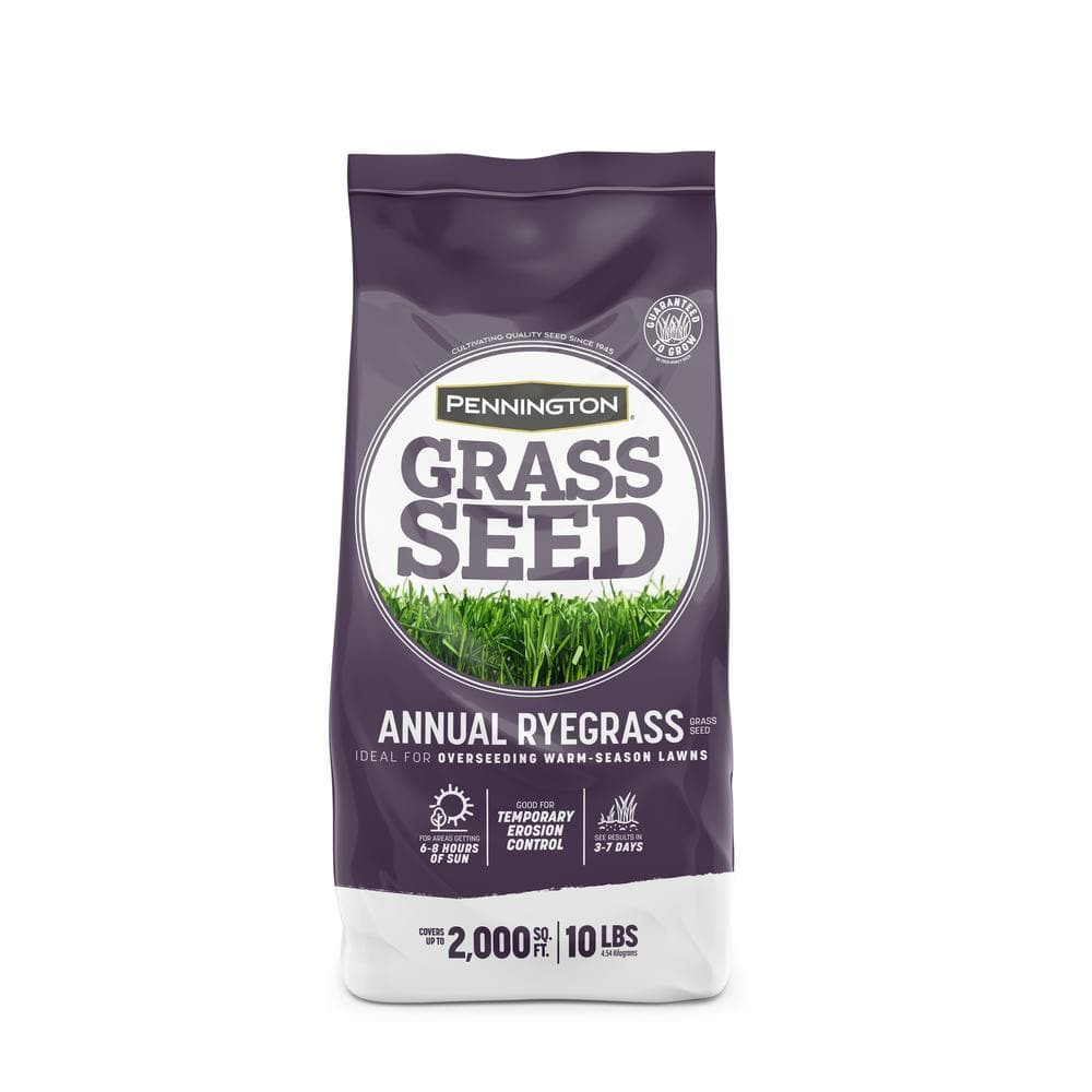 10 lb. Annual Ryegrass Grass Seed Covers up to 2,000 sq. ft. Temporary Lawn Yard
