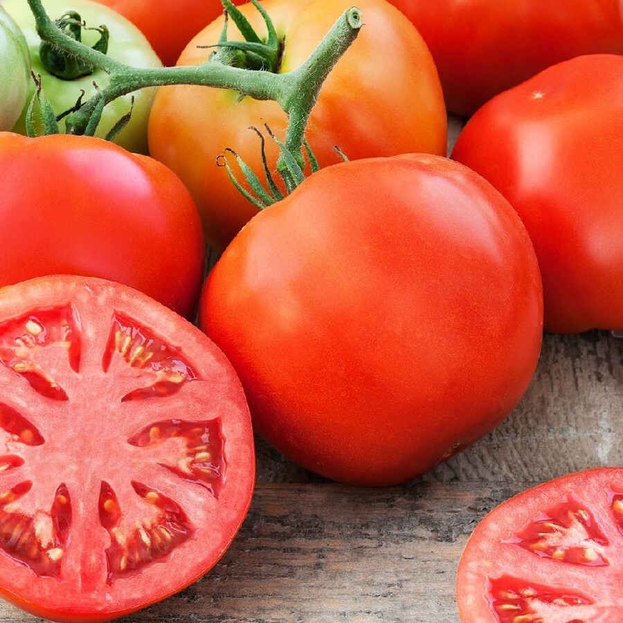 100+ Giant Tomato Seeds – Indeterminate | Non-GMO Garden Seeds USA