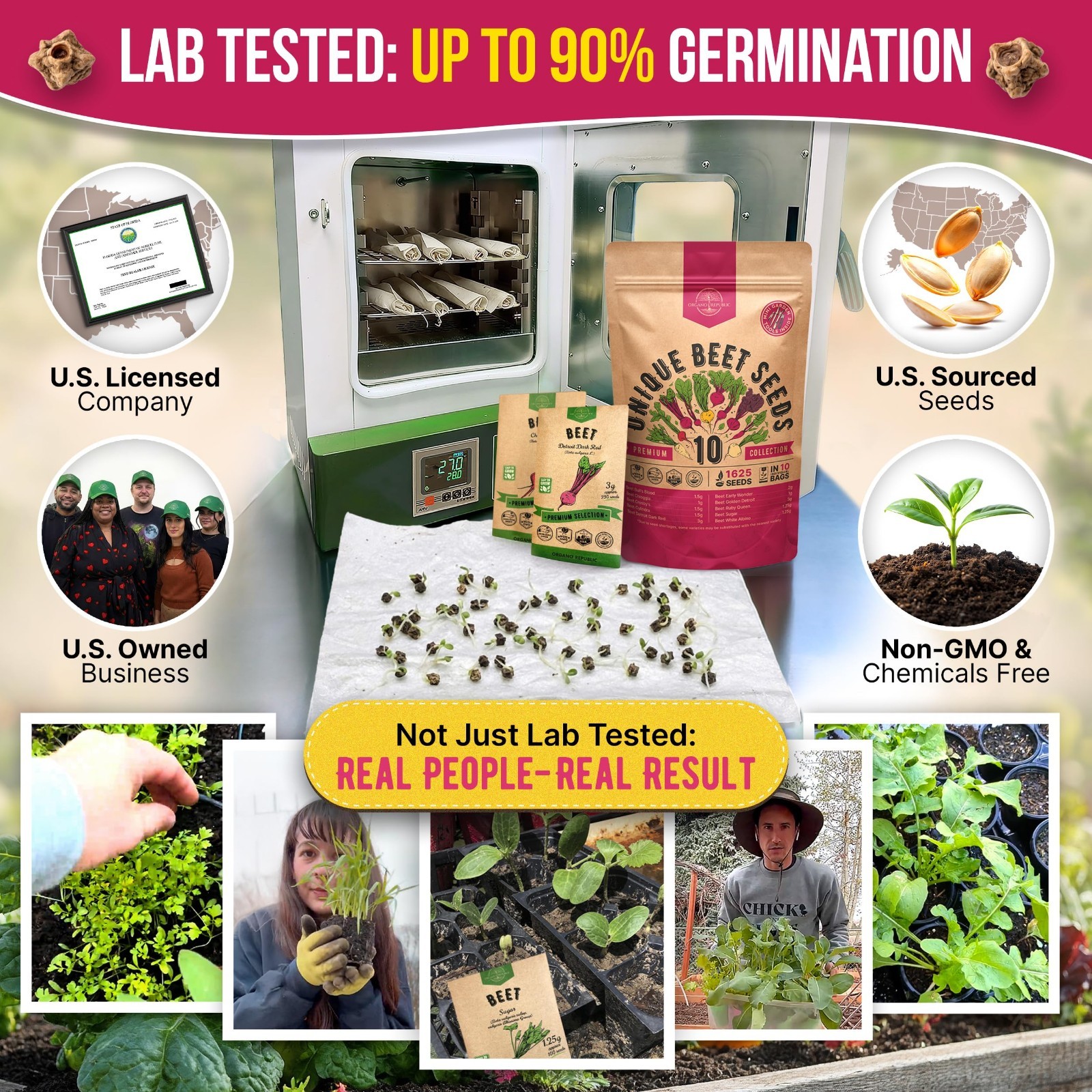 10 Rare Heirloom Beet Seeds Variety Pack – Non-GMO Indoor & Outdoor Gardening 16