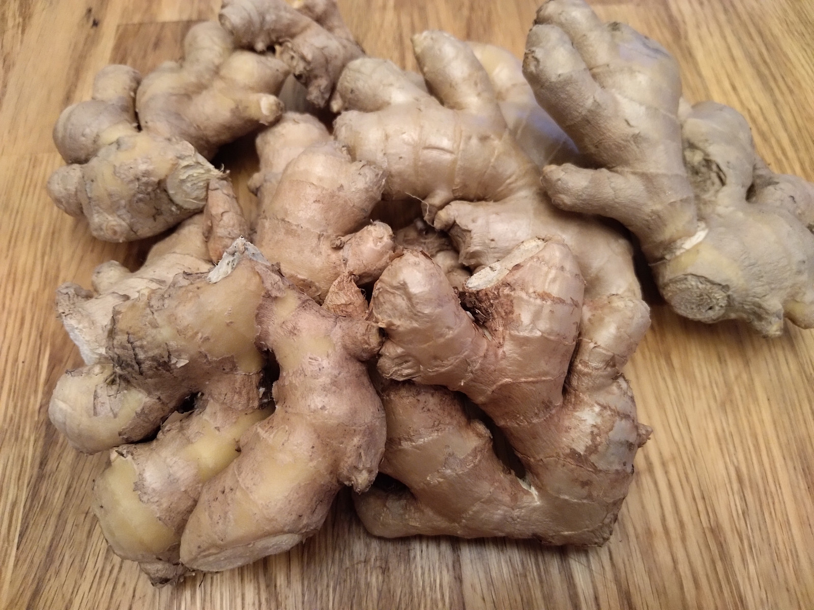 2 organic ginger root, new , ready to plant , USA seller