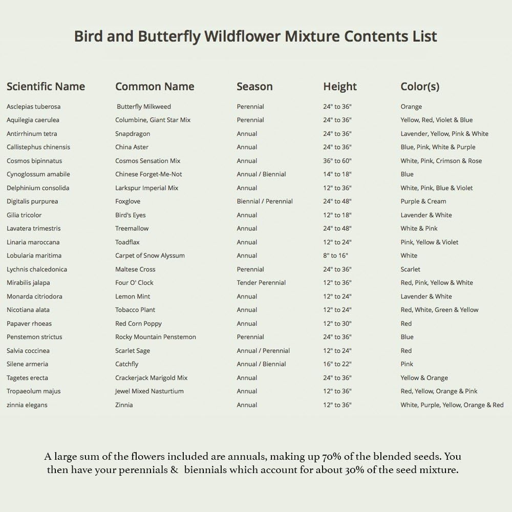 Eco-Friendly Wildflower Seeds – Attract Butterflies with 2 Oz Butterfly Mix