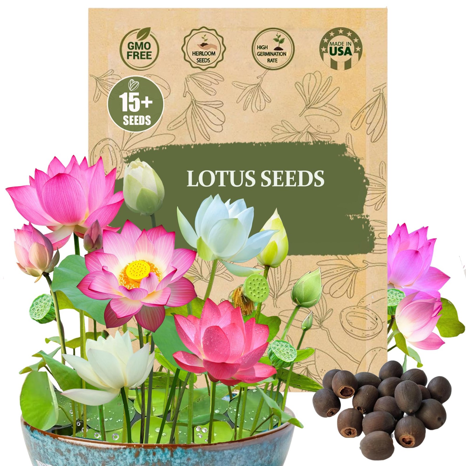 Rare Lotus Seeds for Planting – 15 Pre-Cut Bonsai Lotus Flower Seeds in Water…