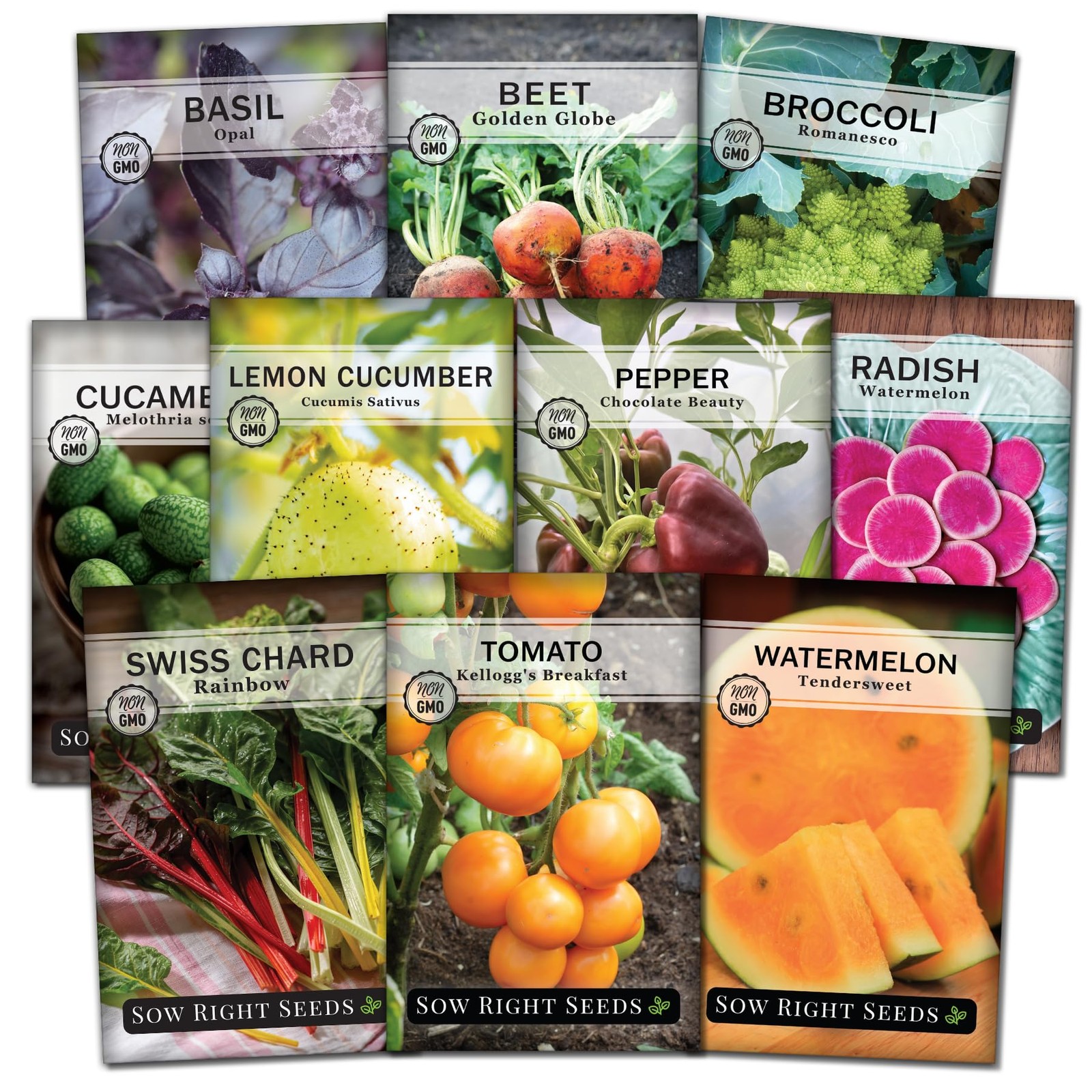 Exotic Vegetable Seed Collection 10 Pack NonGMO Heirloom Planting Garden