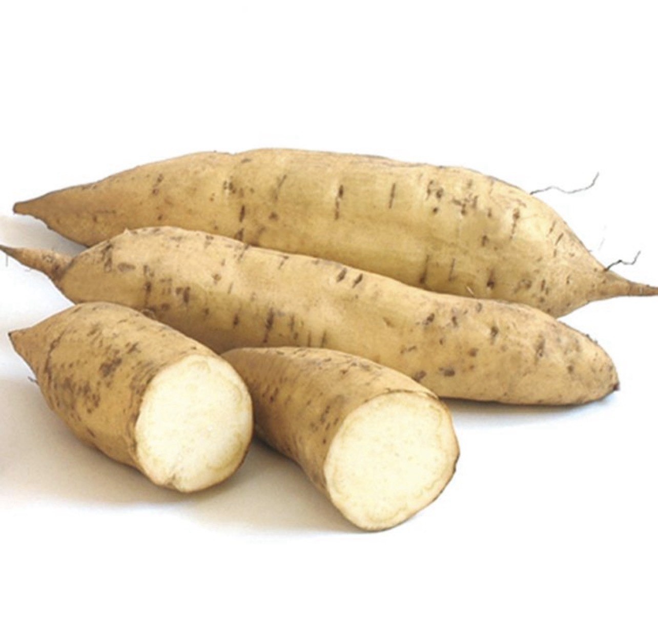 10 Sweet Potato Slips With Roots Ready To Plant Free Shipping!