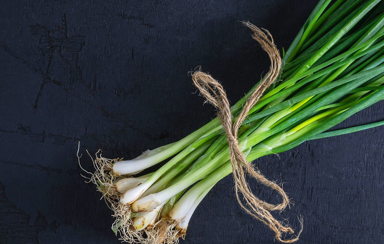 3 PCs Live Onion Bunching Green Vegetable Plant Organic