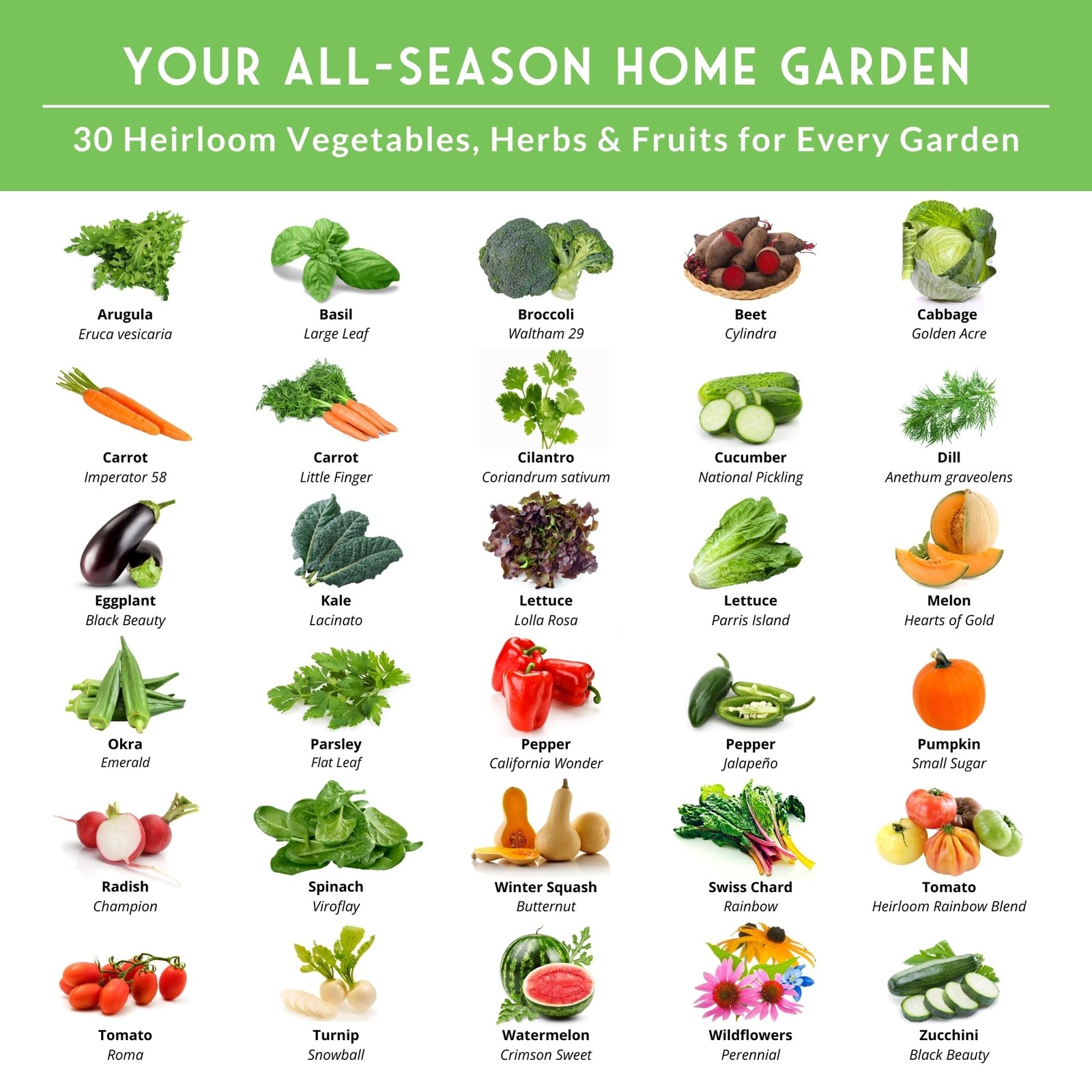 Home Garden Vegetable Seeds 30 Variety Pack – Heirloom Seed Vault Kit for Pla…